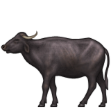 Emoji Natur-44